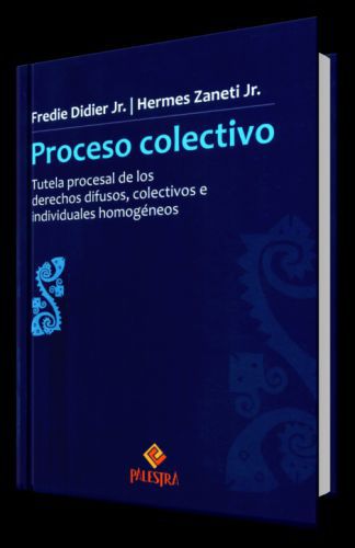PROCESO COLECTIVO - tutela procesal de los derechos difusos, colectivos e individuales homogéneos
